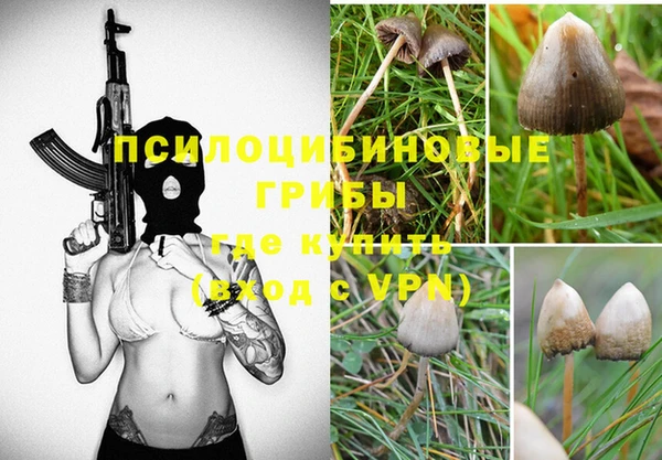 бутират Белокуриха