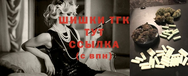 крисы Белоозёрский