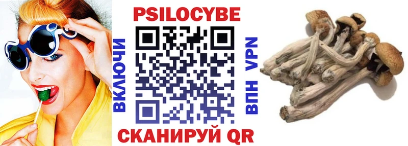 Псилоцибиновые грибы мухоморы  дарк нет официальный сайт  Красный Холм 