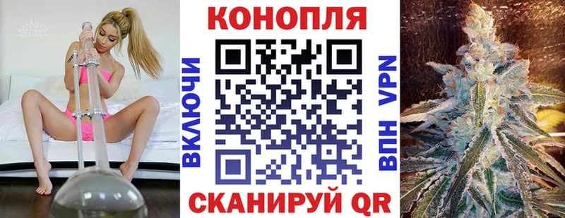 Конопля гибрид  shop как зайти  Красный Холм 